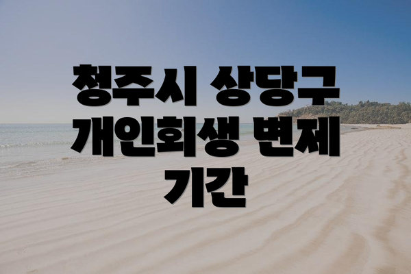 청주시 상당구 개인회생 변제 기간