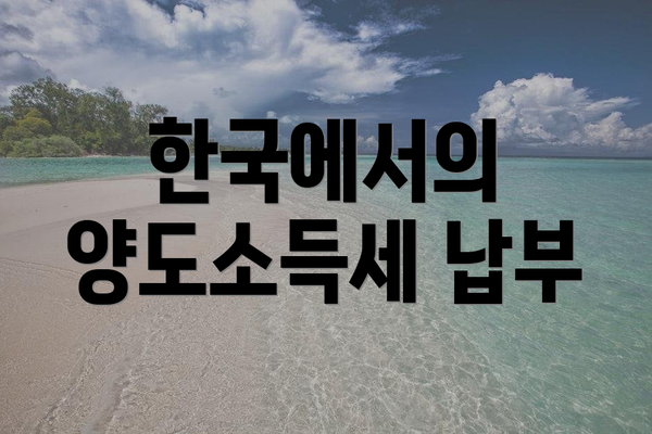 한국에서의 양도소득세 납부