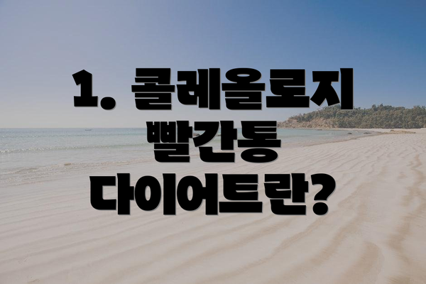 1. 콜레올로지 빨간통 다이어트란?