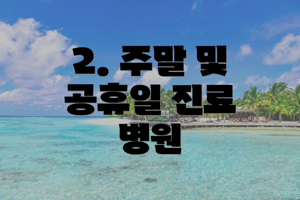 2. 주말 및 공휴일 진료 병원