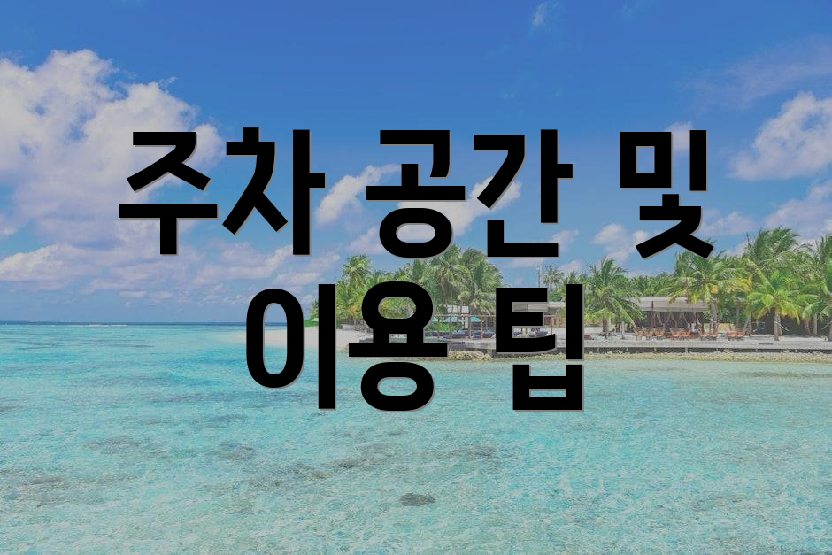 주차 공간 및 이용 팁