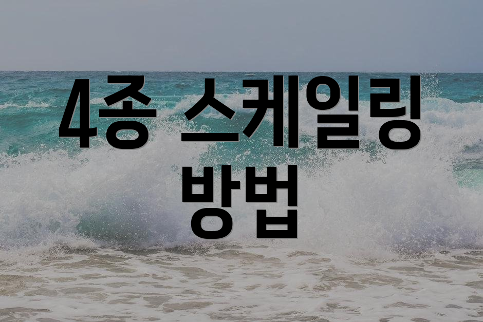 4종 스케일링 방법