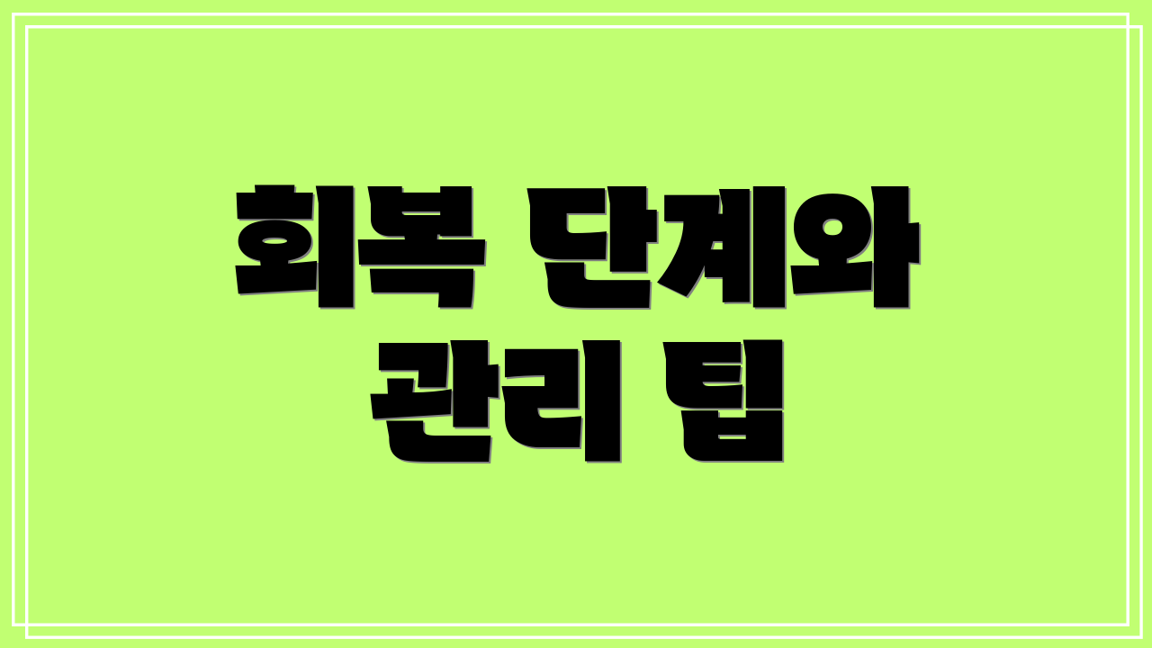 회복 단계와 관리 팁