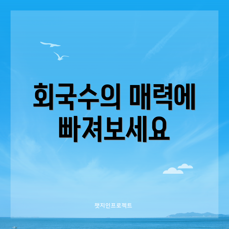 회국수의 매력에 빠져보세요