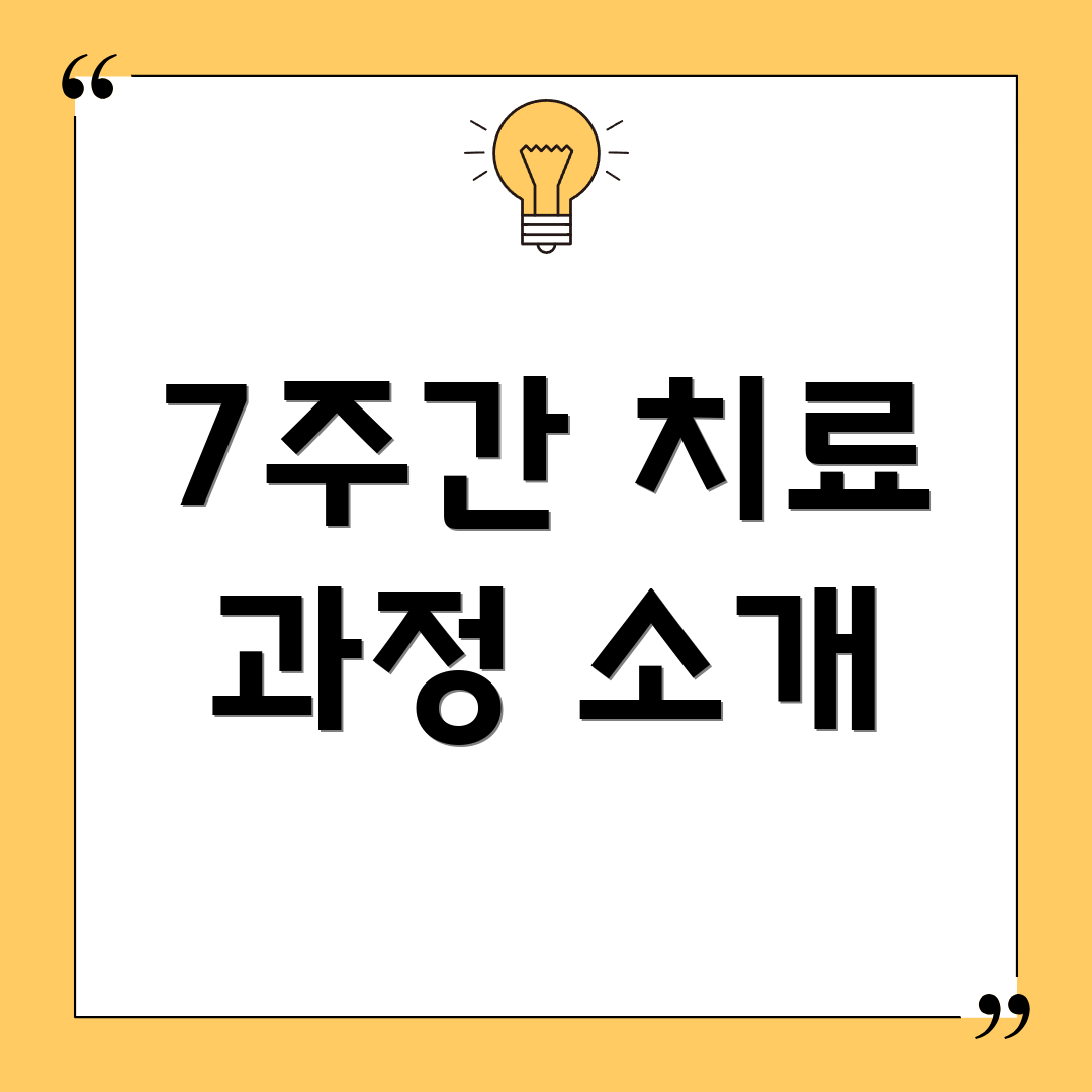 7주간 치료 과정 소개