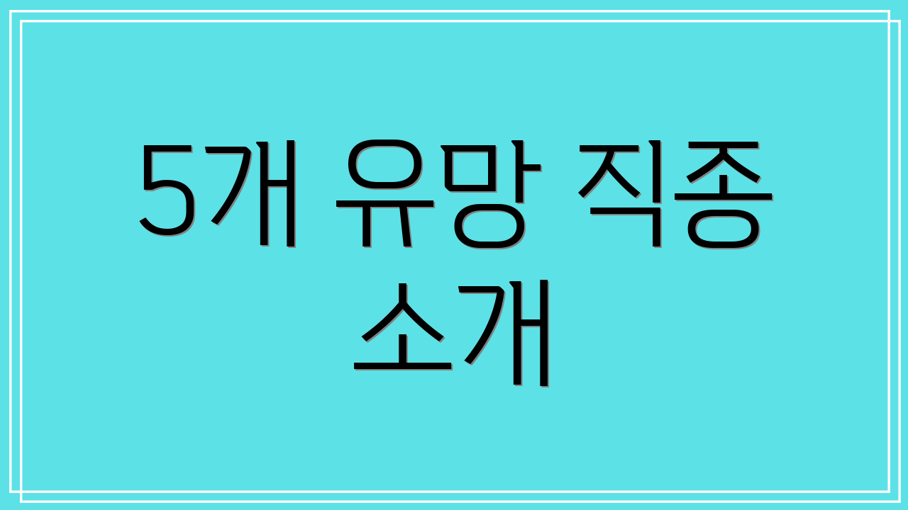 5개 유망 직종 소개