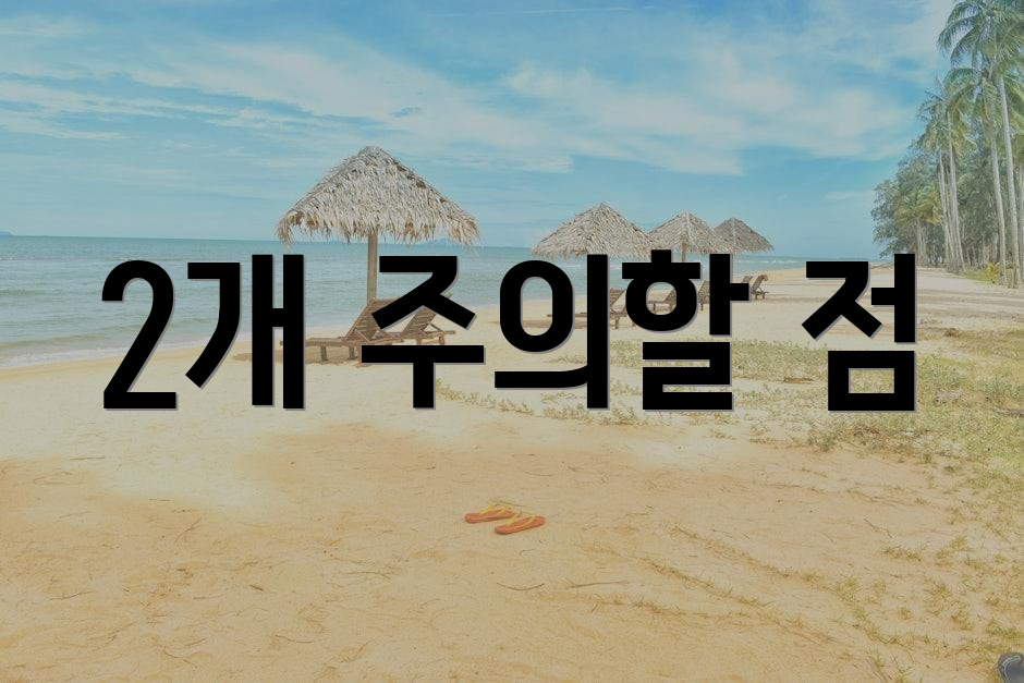 2개 주의할 점