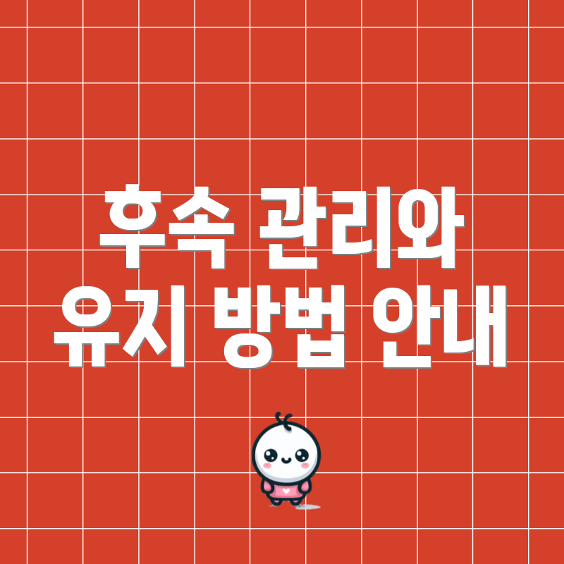 후속 관리와 유지 방법 안내