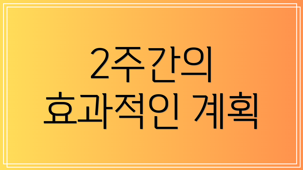 2주간의 효과적인 계획
