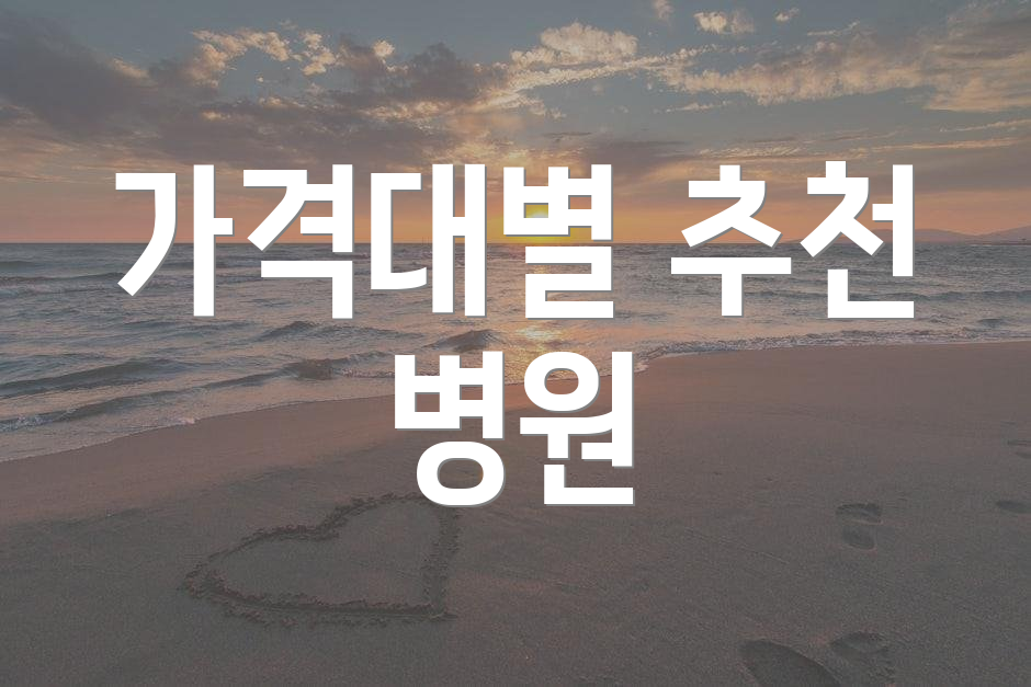 가격대별 추천 병원