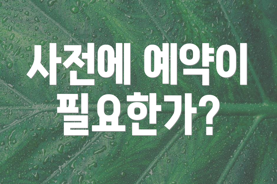 사전에 예약이 필요한가?