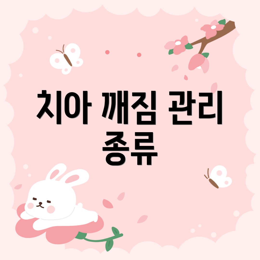 치아 깨짐 관리 종류