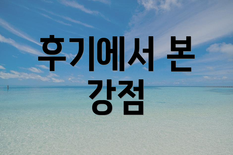 후기에서 본 강점