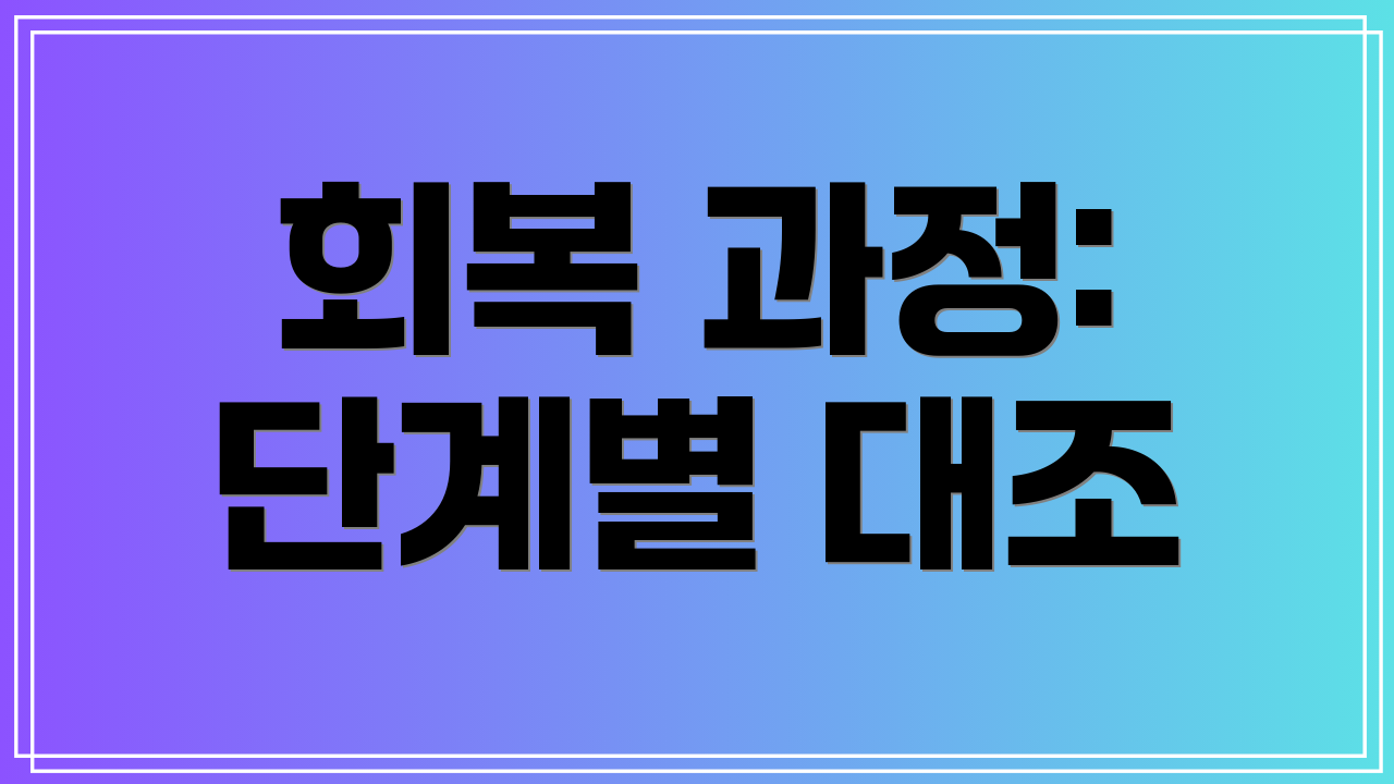 회복 과정: 단계별 대조
