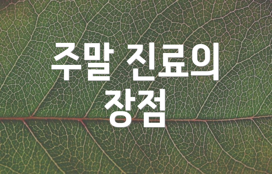 주말 진료의 장점