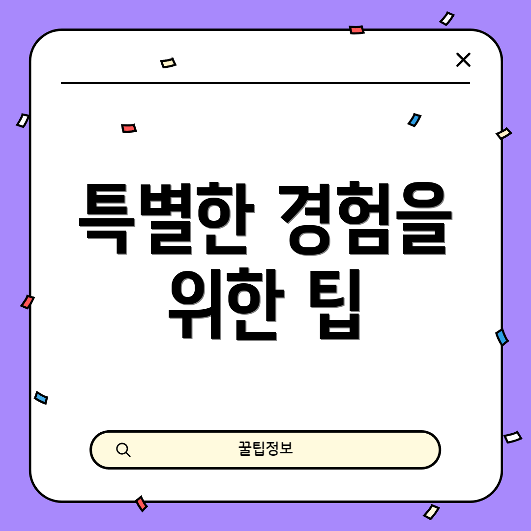 특별한 경험을 위한 팁