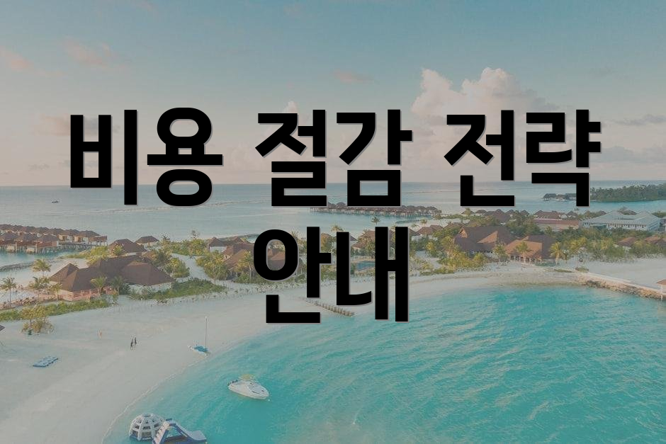 비용 절감 전략 안내