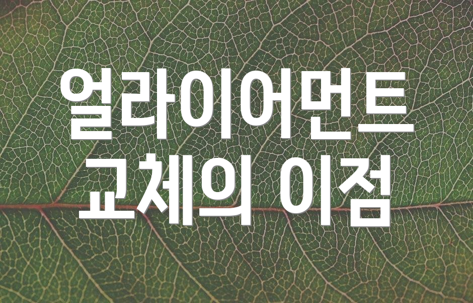 얼라이어먼트 교체의 이점