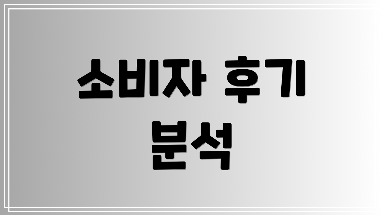 소비자 후기 분석