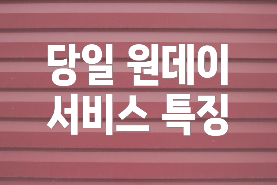 당일 원데이 서비스 특징