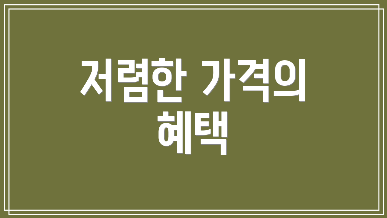 저렴한 가격의 혜택