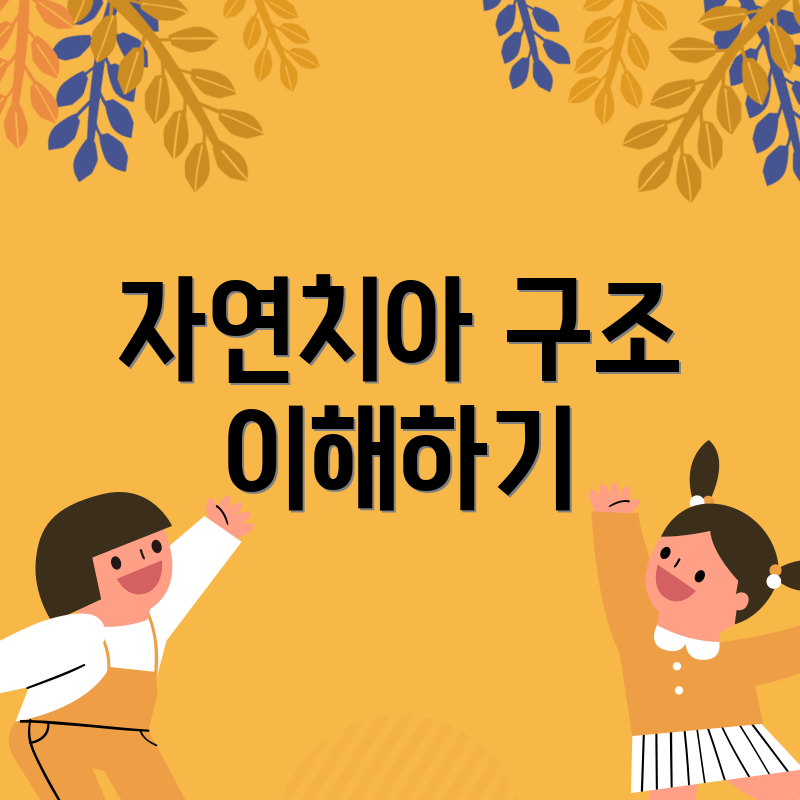 자연치아 구조 이해하기