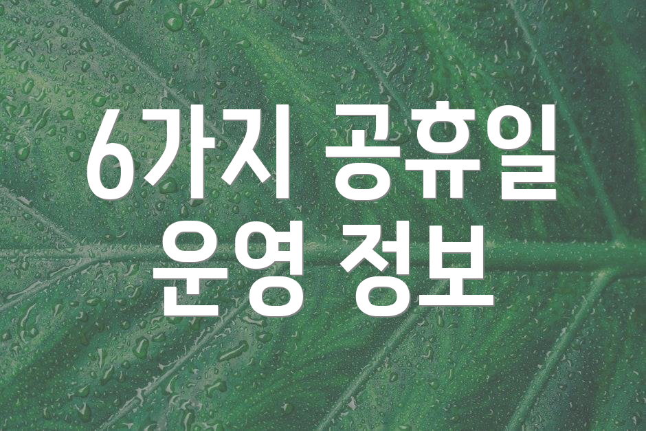 6가지 공휴일 운영 정보