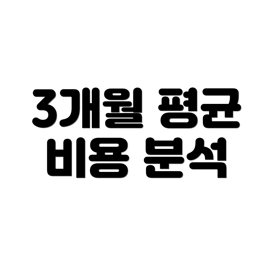 3개월 평균 비용 분석