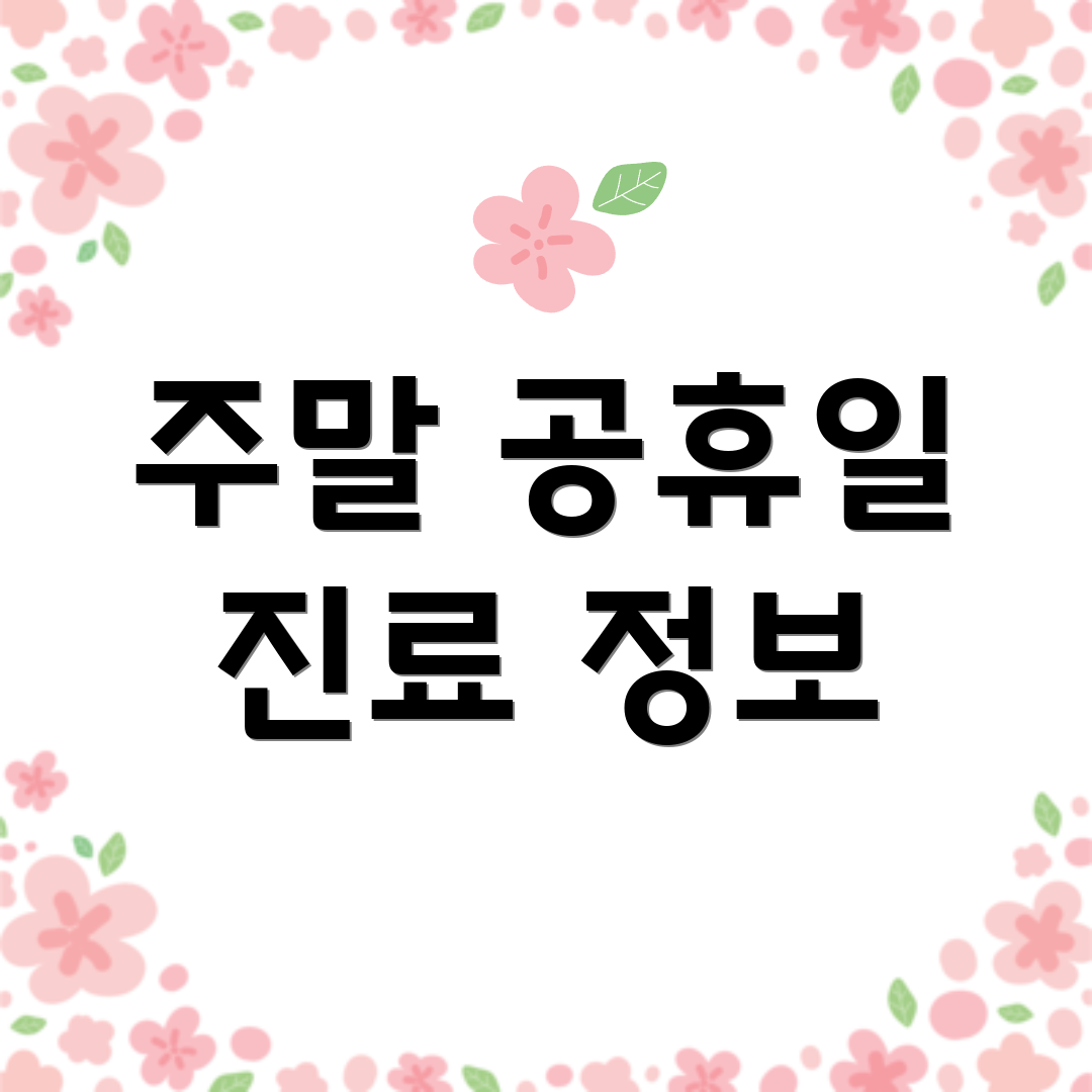 주말 공휴일 진료 정보
