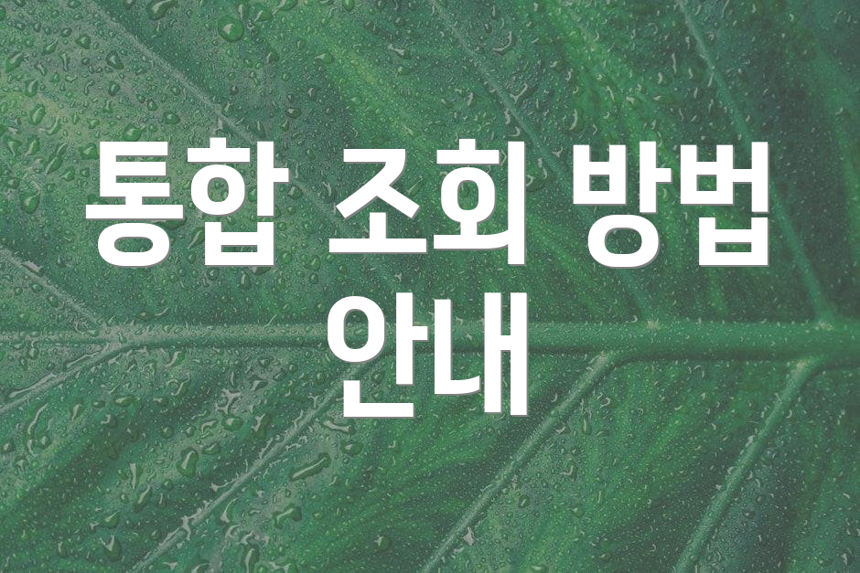 통합 조회 방법 안내