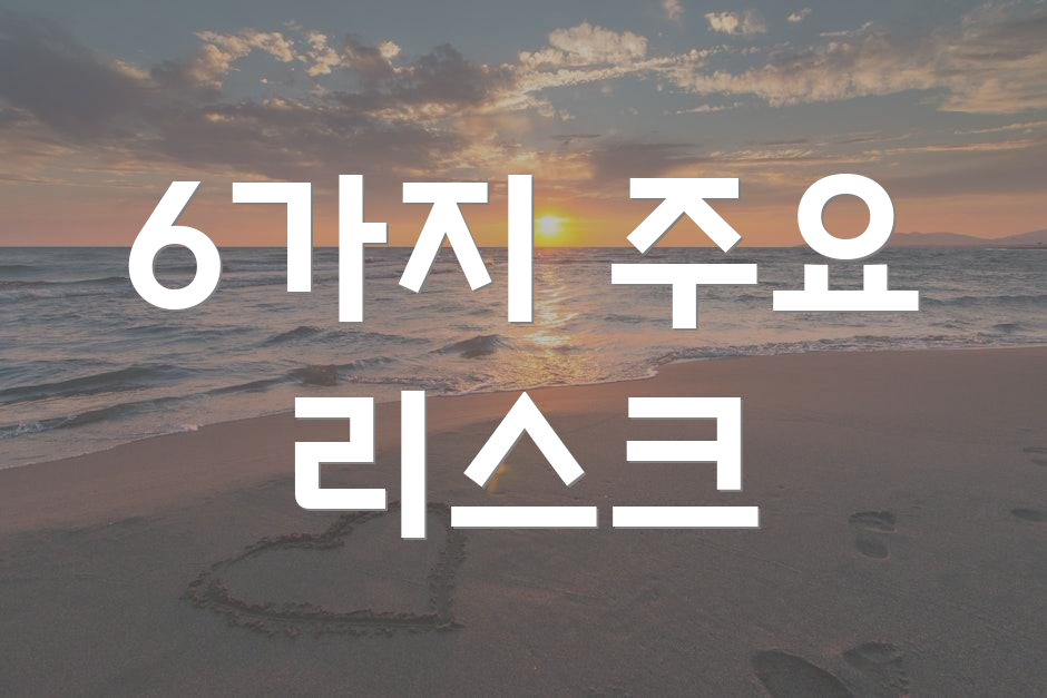 6가지 주요 리스크