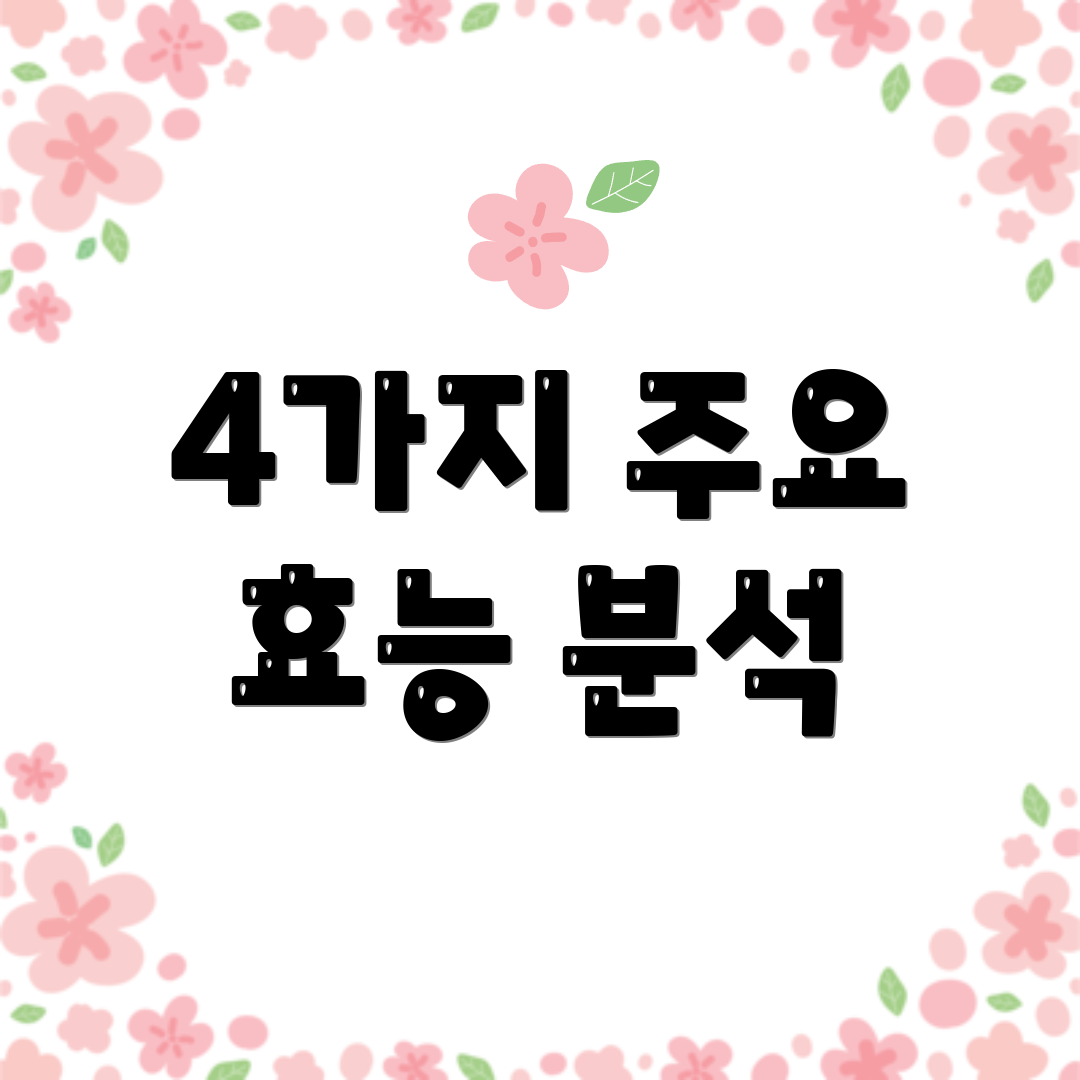 4가지 주요 효능 분석