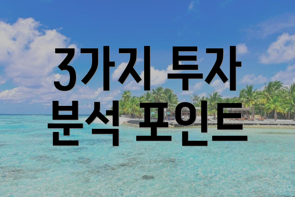 3가지 투자 분석 포인트