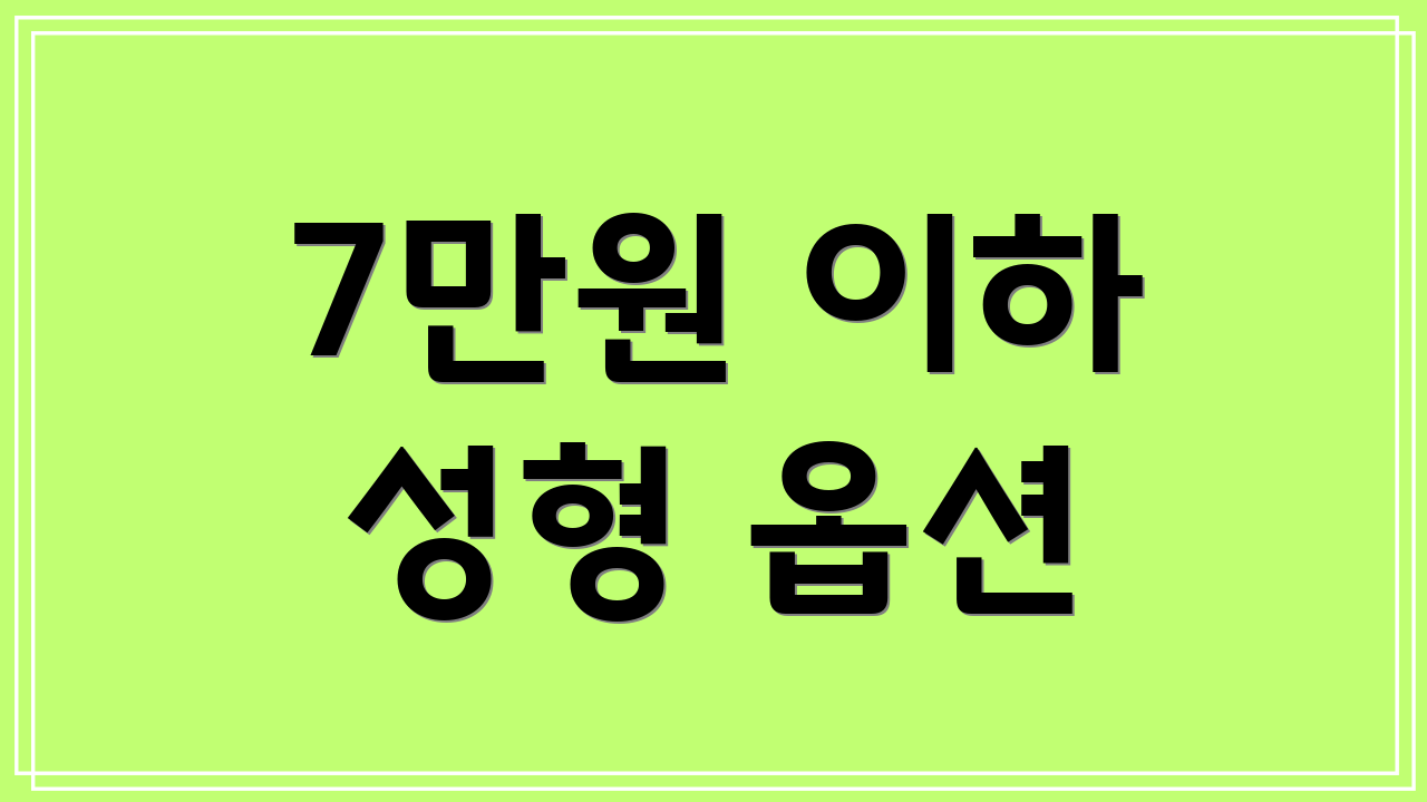 7만원 이하 성형 옵션
