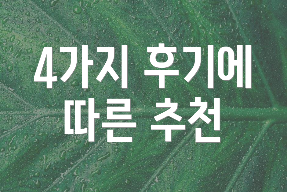 4가지 후기에 따른 추천