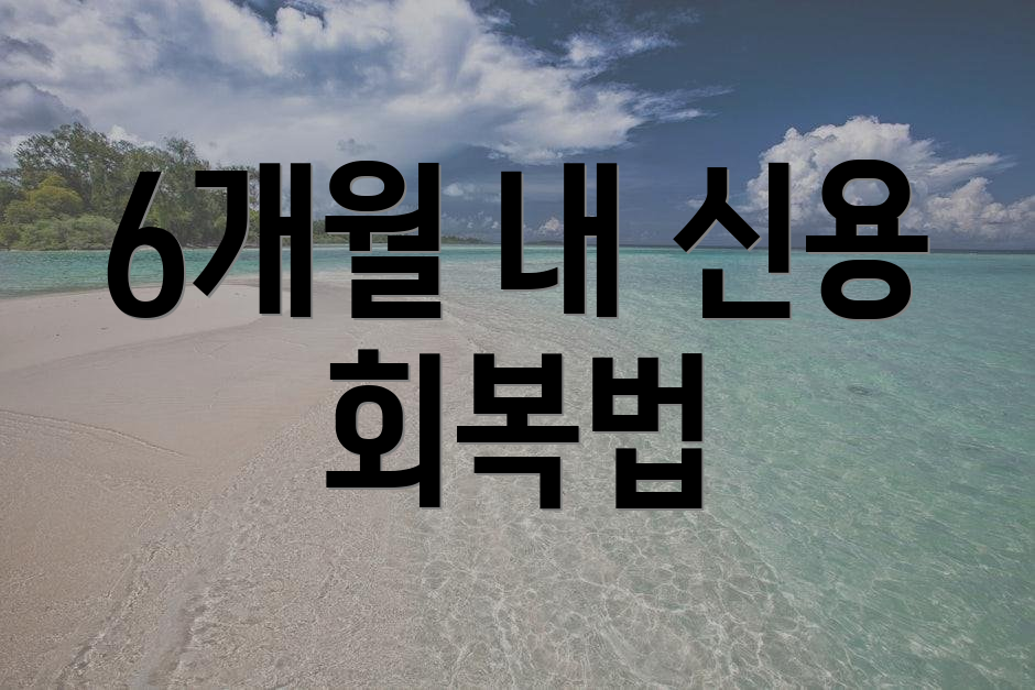 6개월 내 신용 회복법