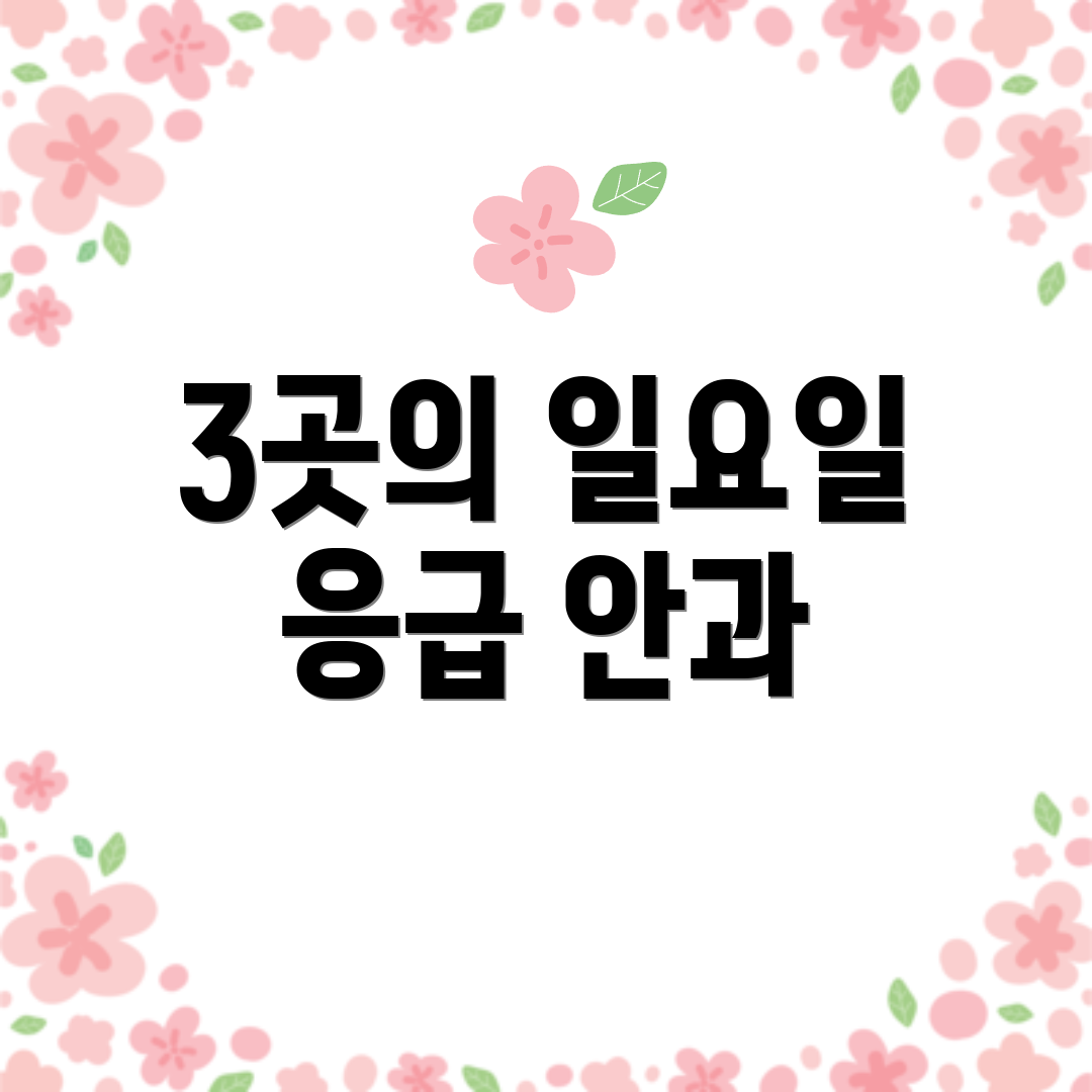 3곳의 일요일 응급 안과