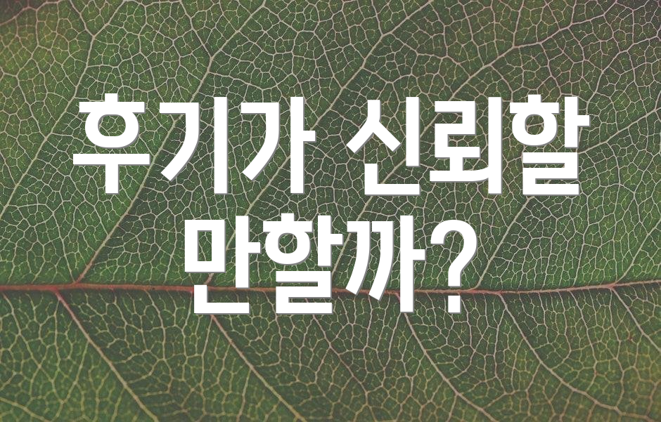후기가 신뢰할 만할까?