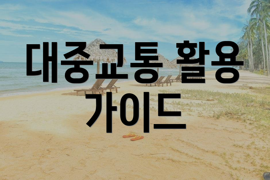 대중교통 활용 가이드