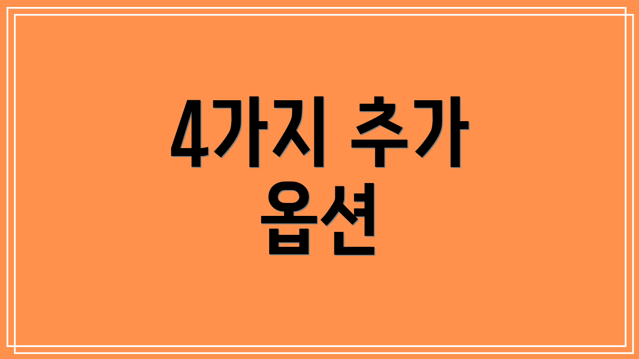 4가지 추가 옵션