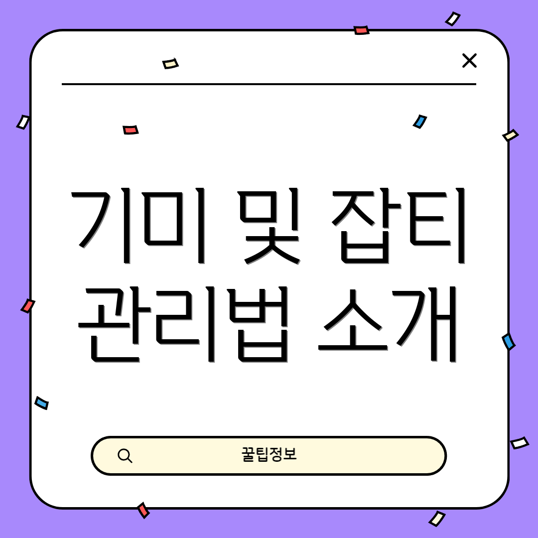 기미 및 잡티 관리법 소개