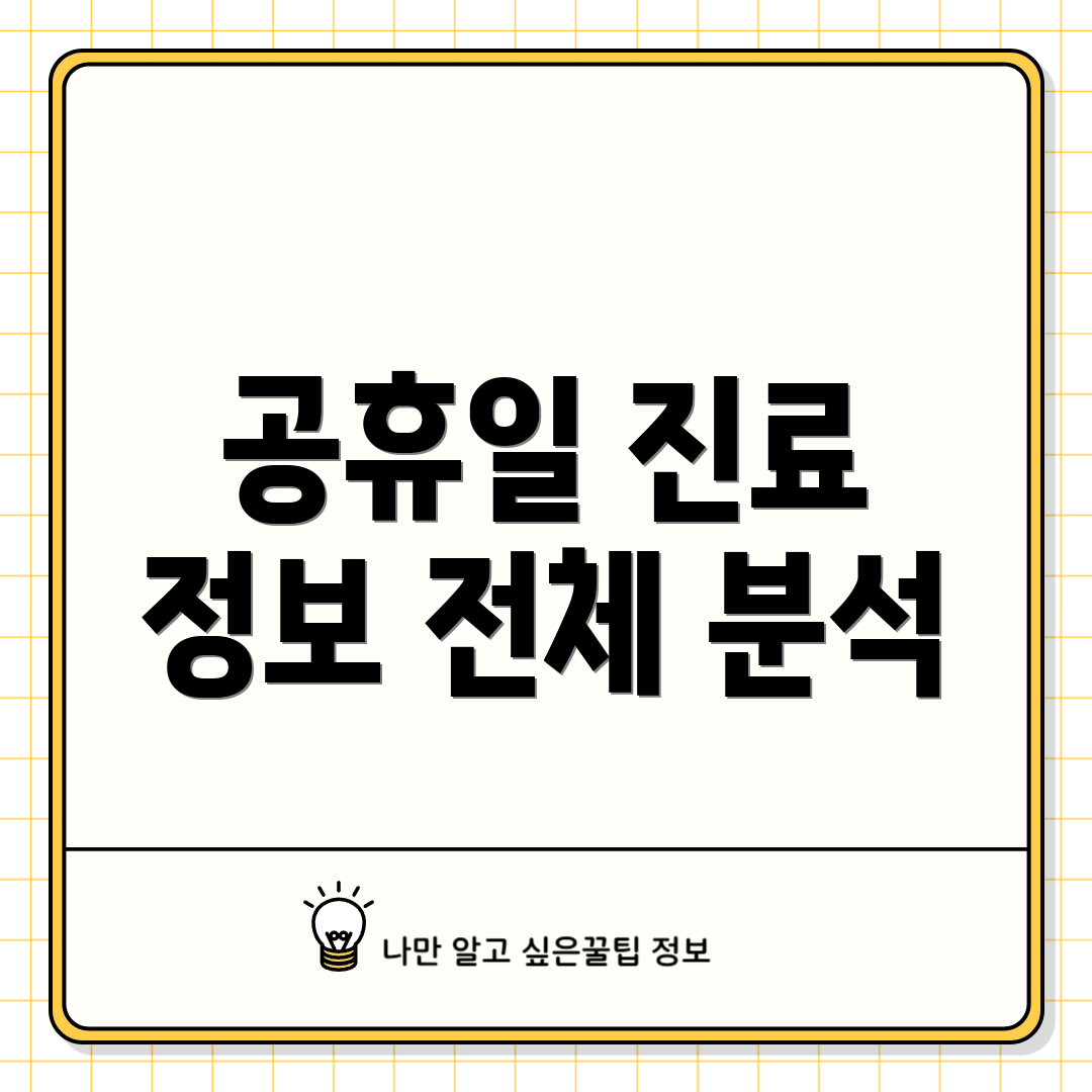 공휴일 진료 정보 전체 분석