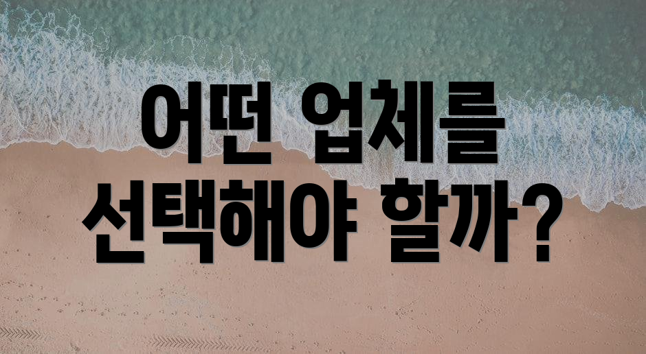 어떤 업체를 선택해야 할까?