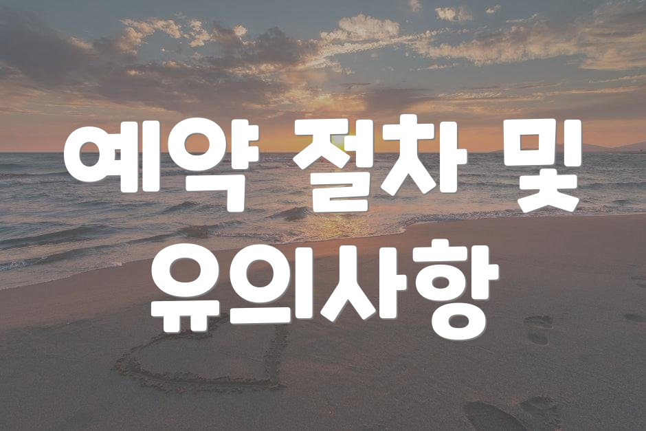 예약 절차 및 유의사항