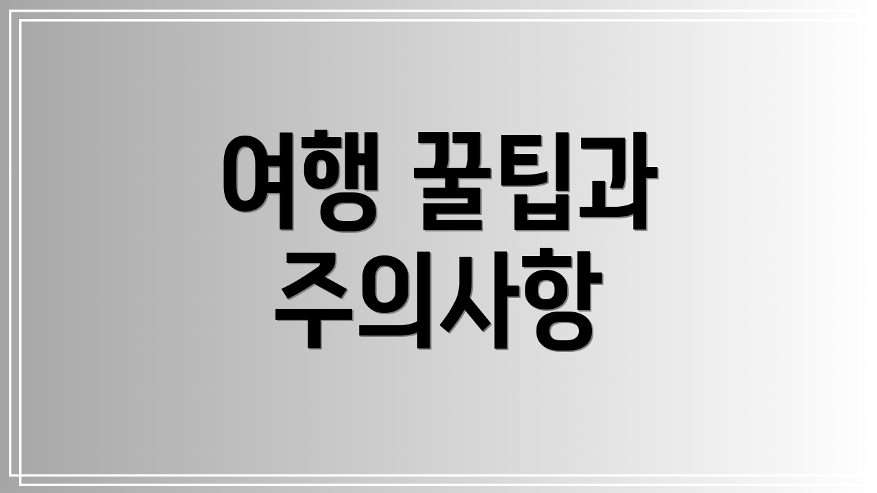 여행 꿀팁과 주의사항