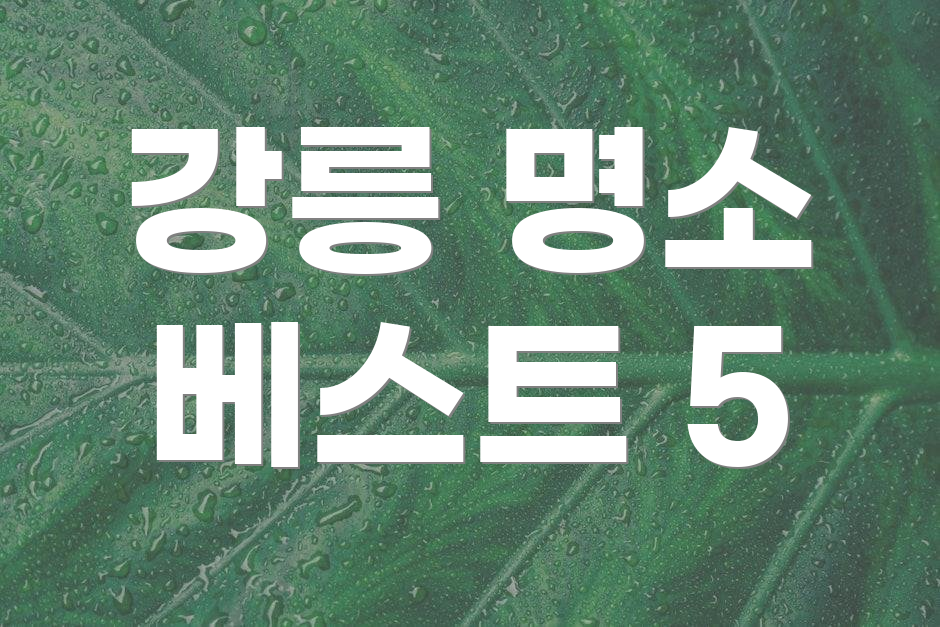 강릉 명소 베스트 5