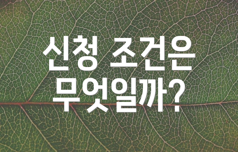 신청 조건은 무엇일까?