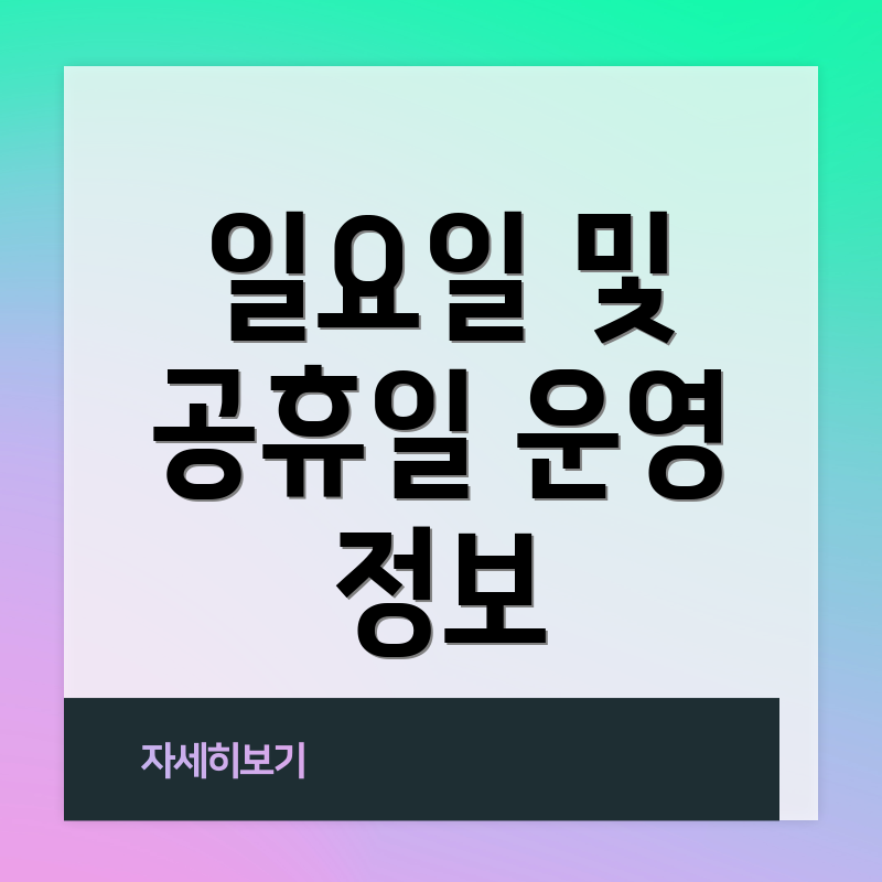 일요일 및 공휴일 운영 정보