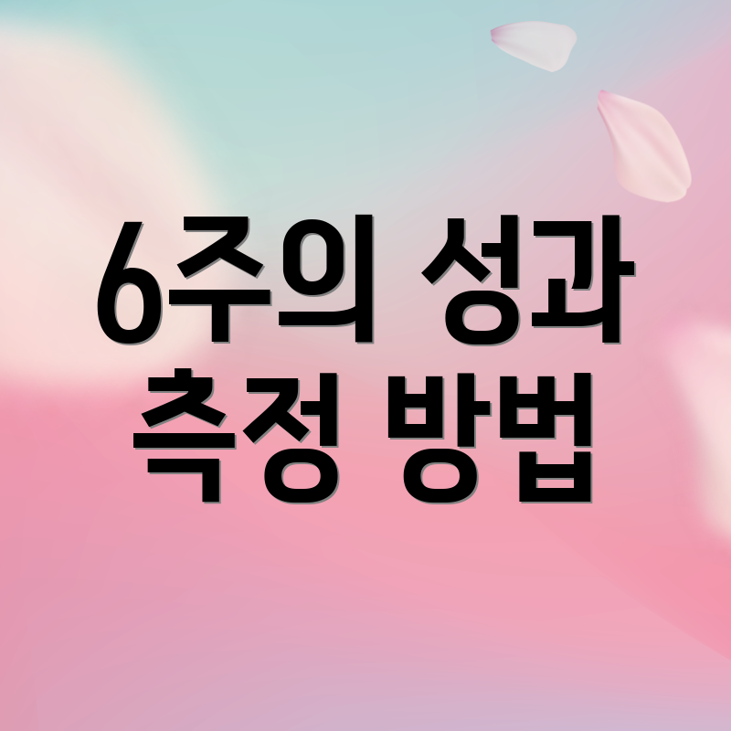6주의 성과 측정 방법