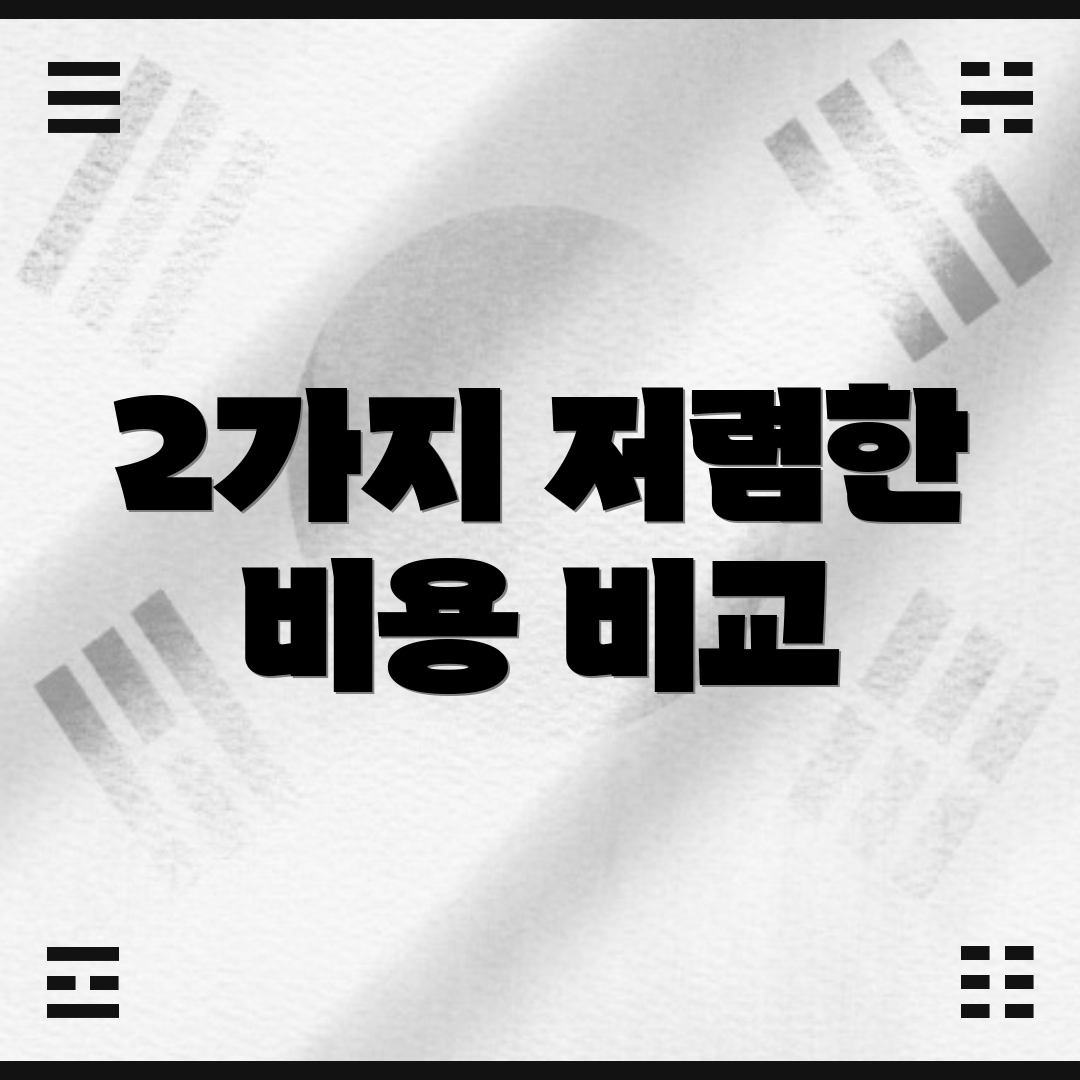 2가지 저렴한 비용 비교